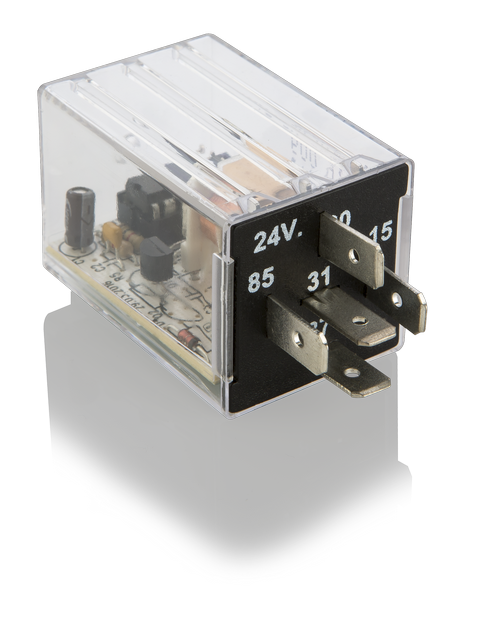 ELO RESET ETME RÖLESİ ZAMAN AYARLI (WATCH DOG TIMER) 24 V DC